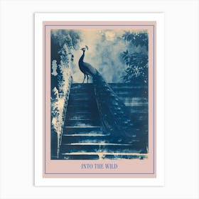 Peacock Feathers On Steps Cyanotype Inspired Poster Art Print