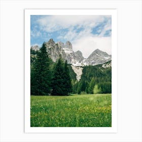 Austrian Alps Meadow Art Print