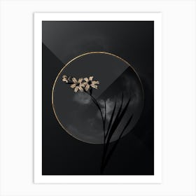 Shadowy Vintage Gladiolus Botanical in Black and Gold Art Print