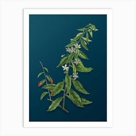 Vintage Goji Berry Tree Botanical Art on Teal Blue n.0465 Art Print