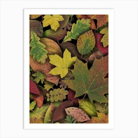 Scattered Autumn Leaves Art Print