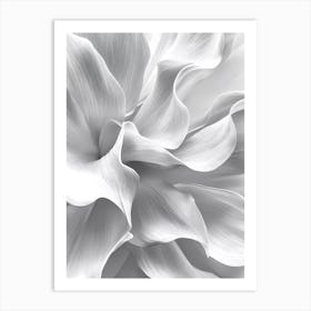 White Dahlia Canvas Print Art Print