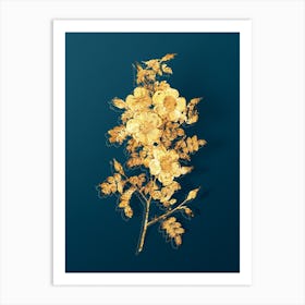 Vintage Thornless Burnet Rose Botanical in Gold on Teal Blue n.0344 Art Print