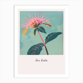 Bee Balm 1 Square Flower Illustration Poster Art Print