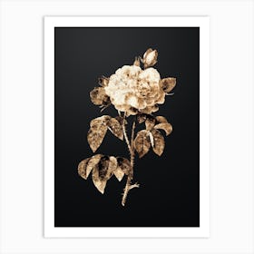 Gold Botanical Duchess of Orleans Rose on Wrought Iron Black n.3042 Art Print