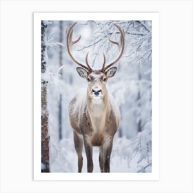 Deer In The Snow Art Print