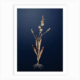 Gold Botanical Ixia Scillaris on Midnight Navy n.1251 Art Print