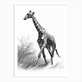 Giraffe In The Grass Pencil Drawing 3 Art Print