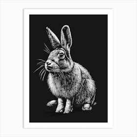 Florida White Blockprint Rabbit Illustration 4 Art Print