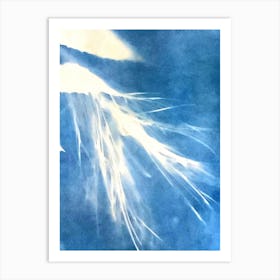 Feathers In The Wind Art Print