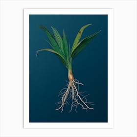 Vintage Date Palm Tree Botanical Art on Teal Blue n.0403 Art Print