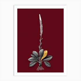 Vintage Blazing Star Black and White Gold Leaf Floral Art on Burgundy Red n.1042 Art Print
