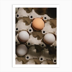 Eggs In A Carton 19 Art Print