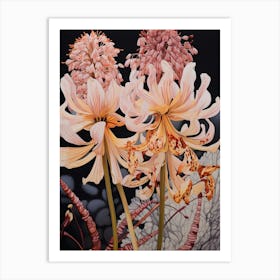 Flower Illustration Kangaroo Paw Flower 1 Art Print