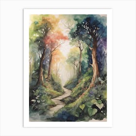 Path In The Woods 1 Art Print