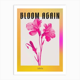 Hot Pink Lobelia 2 Poster Art Print