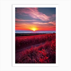 Sunset In The Field 17 Art Print