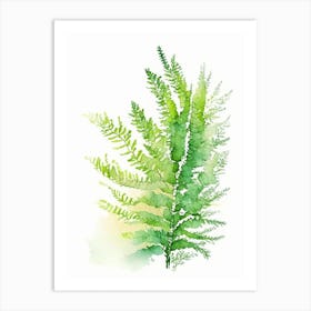 Asparagus Fern Watercolour Art Print