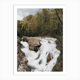 Oregon Forest Creek Art Print