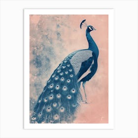 Pink & Blue Peacock Cyanotype Style 1 Art Print