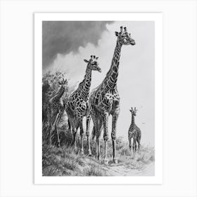 Giraffe Walking Down The Path Pencil Drawing 2 Art Print