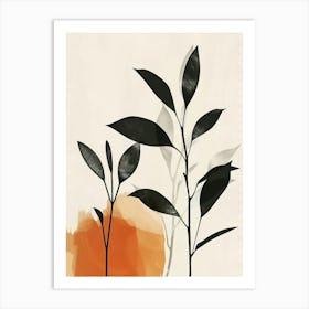 Chinese Evergreen Plant Minimalist Illustration 5 Art Print