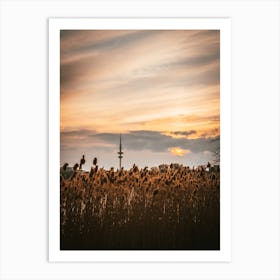Hamburg Sunset Over Reeds Art Print