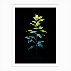 Tree In The Dark 39 Art Print