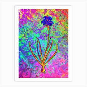 Arabian Starflower Botanical in Acid Neon Pink Green and Blue n.0357 Art Print