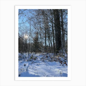 Snowy Woods 4 Art Print