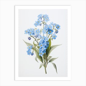 Forget Me Nots Flower Vintage Botanical 0 Art Print