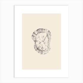 Illustration 606 'Pencil Seashell', Aga Szafranska Art Print