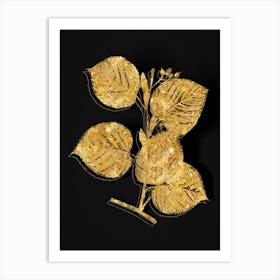 Vintage Linden Tree Branch Botanical in Gold on Black n.0321 Art Print