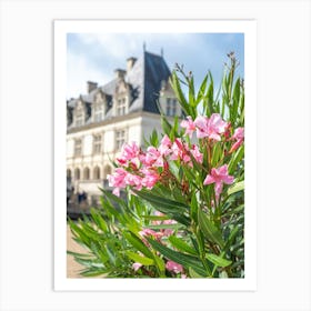 Pink oleander flowers at Chateaux de Villandry a castle in France - summer travel photography by Christa Stroo Photography Art Print