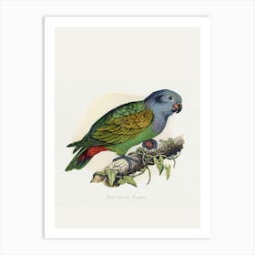 Parrot 4 Art Print