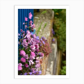 Pink And Mauve On The Wall Affiche