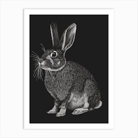Flemish Giant Blockprint Rabbit Illustration 2 Art Print