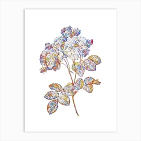 Stained Glass Pink Damask Rose Mosaic Botanical Illustration on White n.0340 Art Print