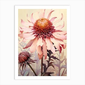 Floral Illustration Gaillardia 2 Art Print