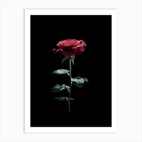 Single Red Rose On Black Background 17 Art Print