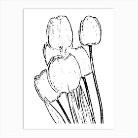 Tulips 2 Art Print