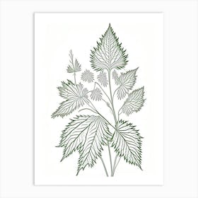 Nettle Herb William Morris Inspired Line Drawing 2 Art Print