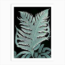 Silver Lace Fern 5 Vintage Botanical Poster Art Print