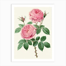 English Roses Painting Vintage Style 1 Art Print