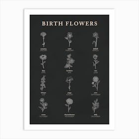 Birth Flowers Chart Navy Background Art Print