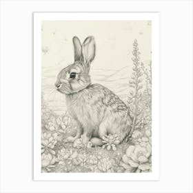 Florida White Rabbit Drawing 3 Art Print