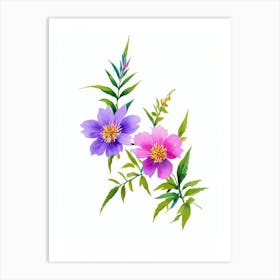 Cypress Watercolour Flower Art Print