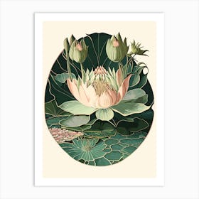 Water Lily Wildflower Vintage Botanical Art Print