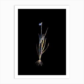 Stained Glass Narrow leaf Blue eyed grass Mosaic Botanical Illustration on Black Art Print