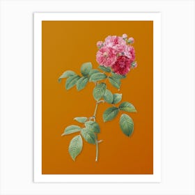 Vintage Seven Sisters Roses Botanical on Sunset Orange n.0580 Art Print
